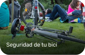 bici tirada en un parque