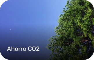árbol verde sobre cielo celeste